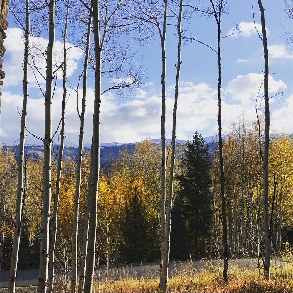 Meet your Posher, Janessa